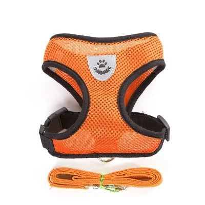 Colete Ajustável com Guia Refletiva – Conforto e Segurança para Seu Gato ou Cachorro de Pequeno Porte!