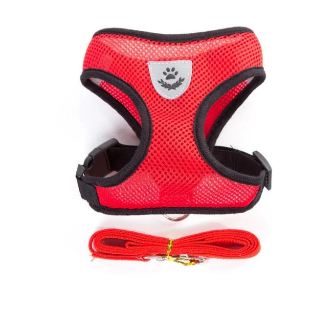 Colete Ajustável com Guia Refletiva – Conforto e Segurança para Seu Gato ou Cachorro de Pequeno Porte!