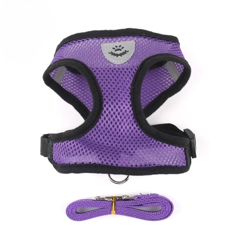 Colete Ajustável com Guia Refletiva – Conforto e Segurança para Seu Gato ou Cachorro de Pequeno Porte!