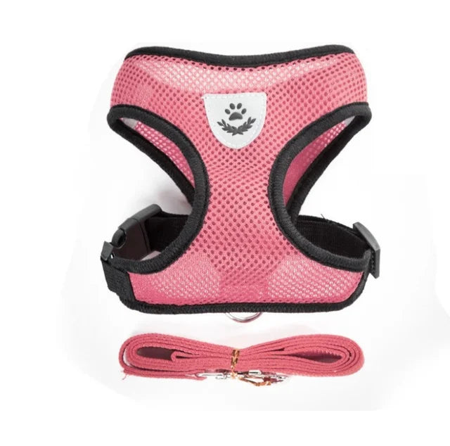 Colete Ajustável com Guia Refletiva – Conforto e Segurança para Seu Gato ou Cachorro de Pequeno Porte!