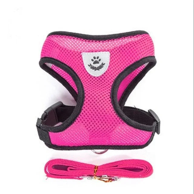 Colete Ajustável com Guia Refletiva – Conforto e Segurança para Seu Gato ou Cachorro de Pequeno Porte!